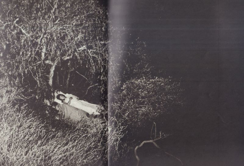 DUFOUR, Diane. M. - Image 5