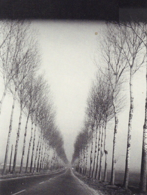 BROODTHAERS, Marcel.  Texte et Photos. - Image 2