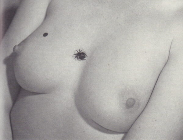 MARIEN, Marcel.  La Femme Entrouverte. - Image 5