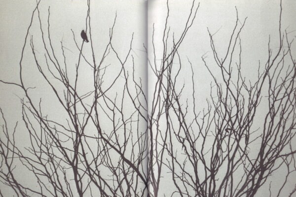 OSTERHOLT, Manuel.  Future / Memory: Street Culture & Contemporary Art. - Image 2