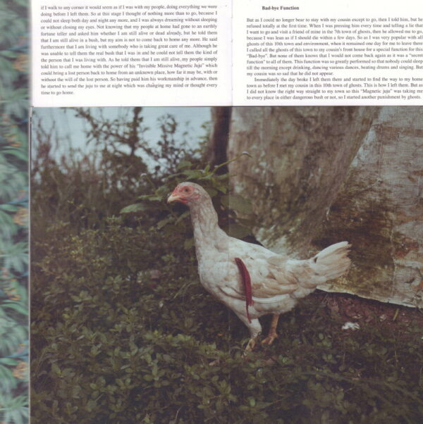 De MIDDEL, Cristina. This is What Hatred Did. - Image 6