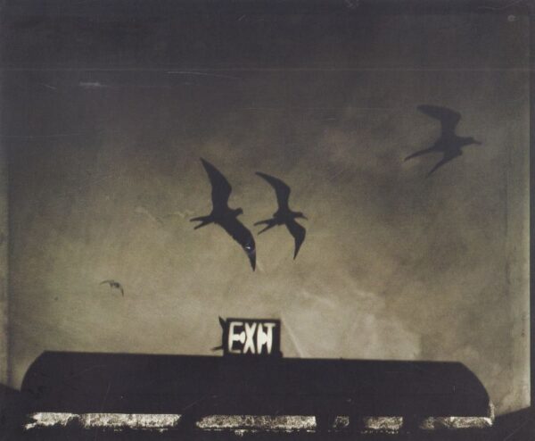 MOON, Sarah.  Inventario 1985-1997. - Image 7