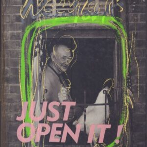 GOZU, Masao.  New York – Just Open it!
