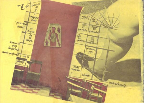 MEADE, Xavier.  Optica. - Image 7
