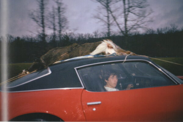 MEYEROWITZ, Joel.  Out of the Ordinary: 1970-1980. - Image 7