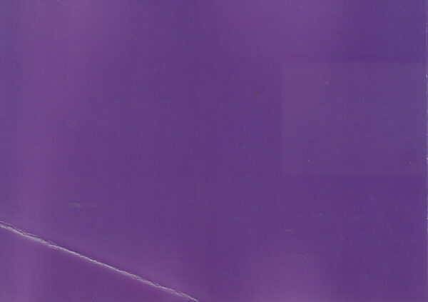 MEYEROWITZ, Joel.  Out of the Ordinary: 1970-1980. - Image 8