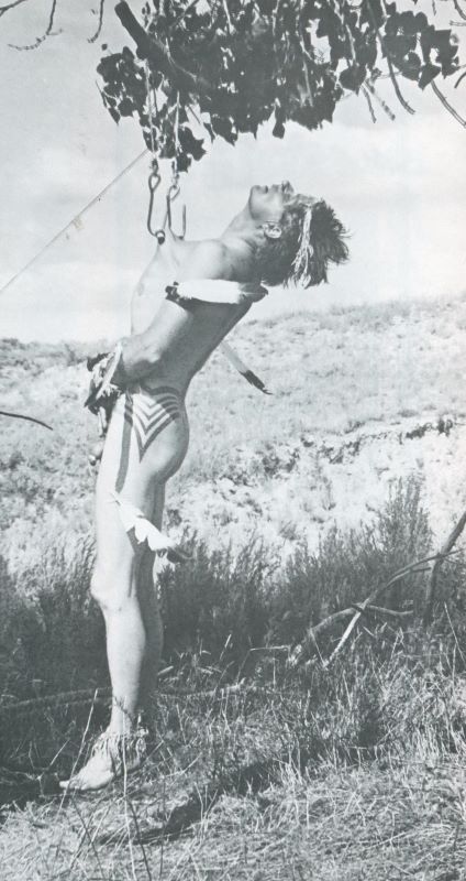 WARD, Jim. PFIQ: Piercing Fans International Quarterly. - Image 3