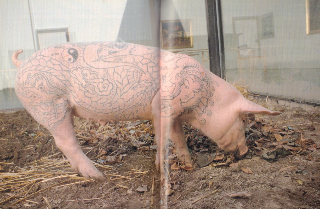 Tattoo Pig - Etsy