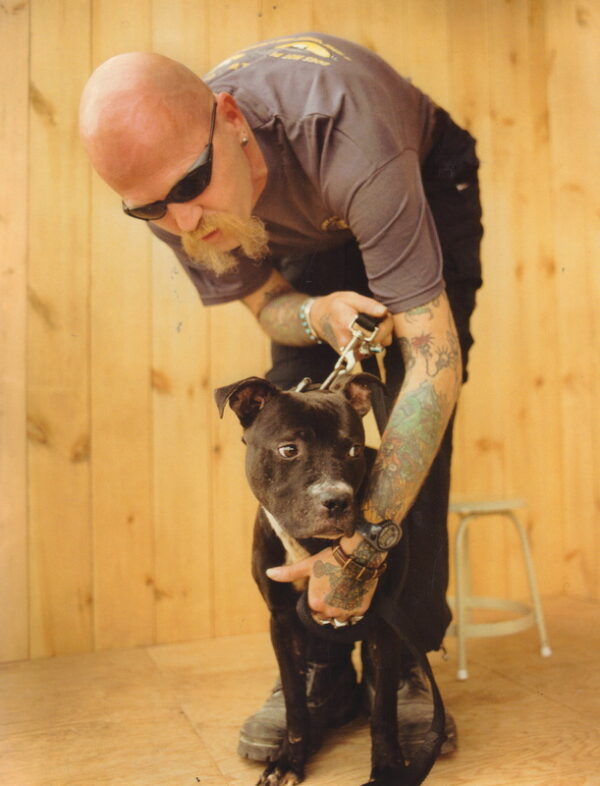 JOSEPH, Marc.  American Pitball. - Image 5