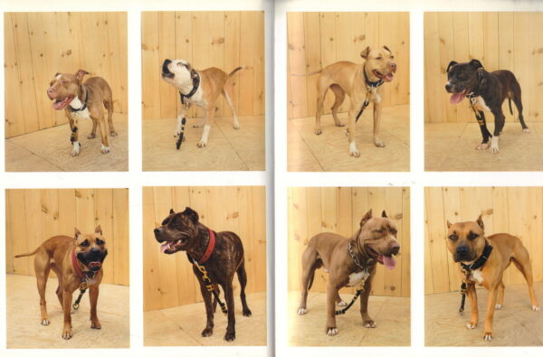 JOSEPH, Marc.  American Pitball. - Image 7