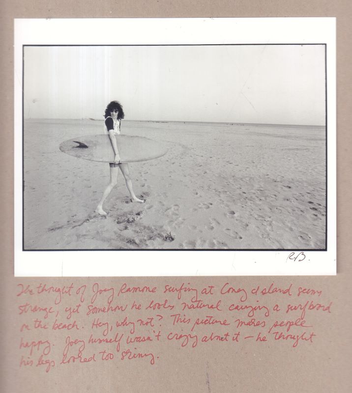 BAYLEY, Roberta. Punk: The Book. - Cult Jones