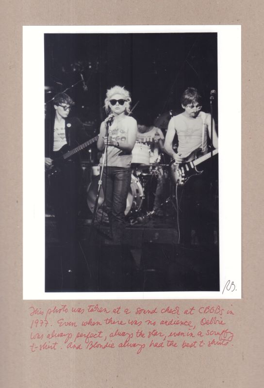 BAYLEY, Roberta. Punk: The Book. - Image 5