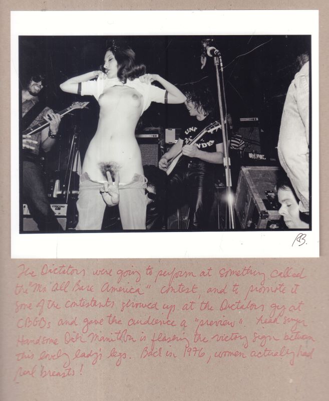 BAYLEY, Roberta. Punk: The Book. - Image 8