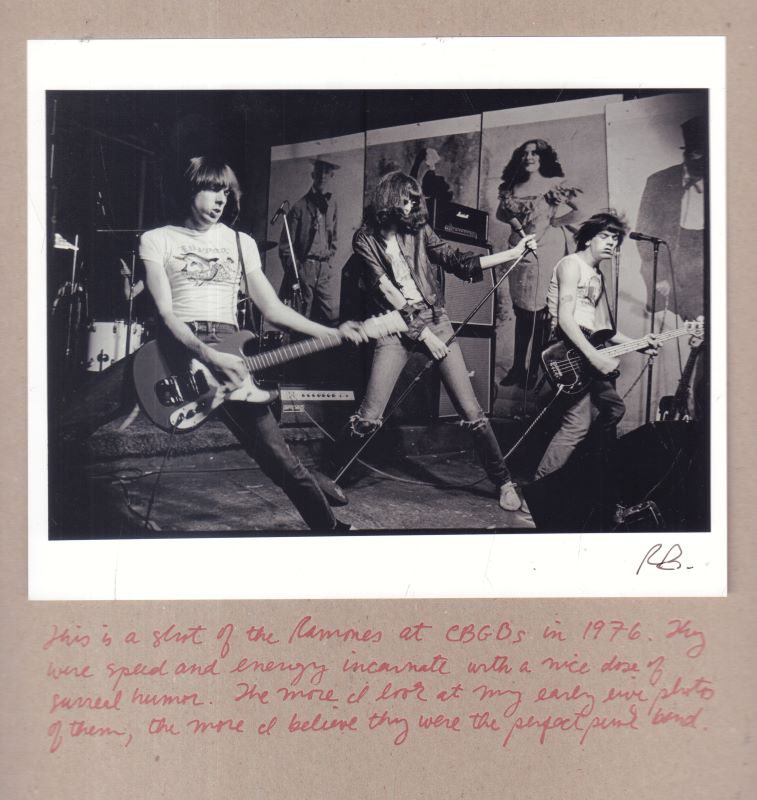 BAYLEY, Roberta. Punk: The Book. - Cult Jones