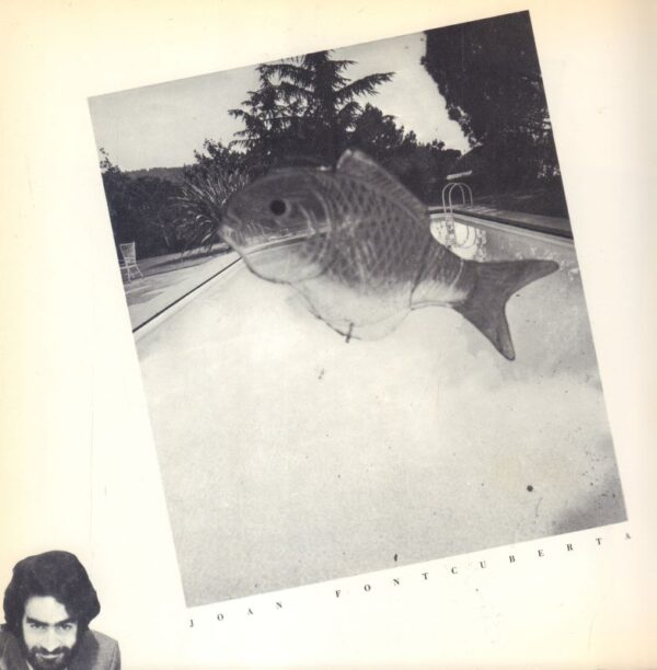Principio. - Image 2
