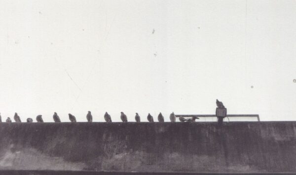 DEGIORGIS, Nicolo.  Prison Photography. - Image 10