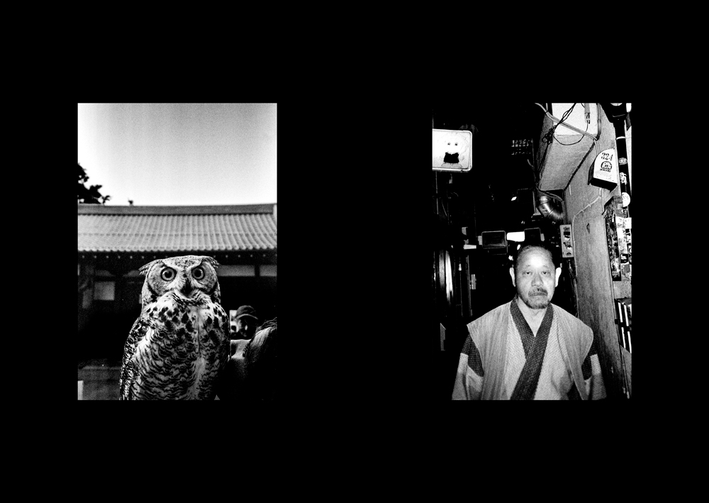 van ASSCHE, Mathieu. Ramen. - Image 6
