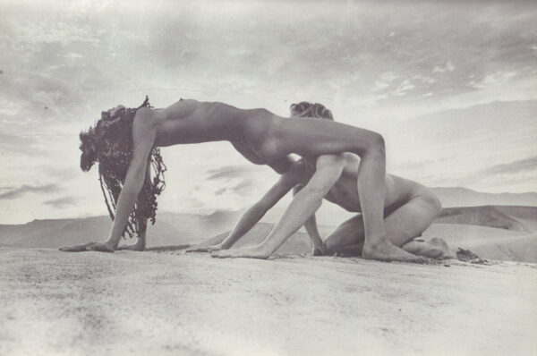 Rapture: 13 Erotic Fantasies. - Image 6