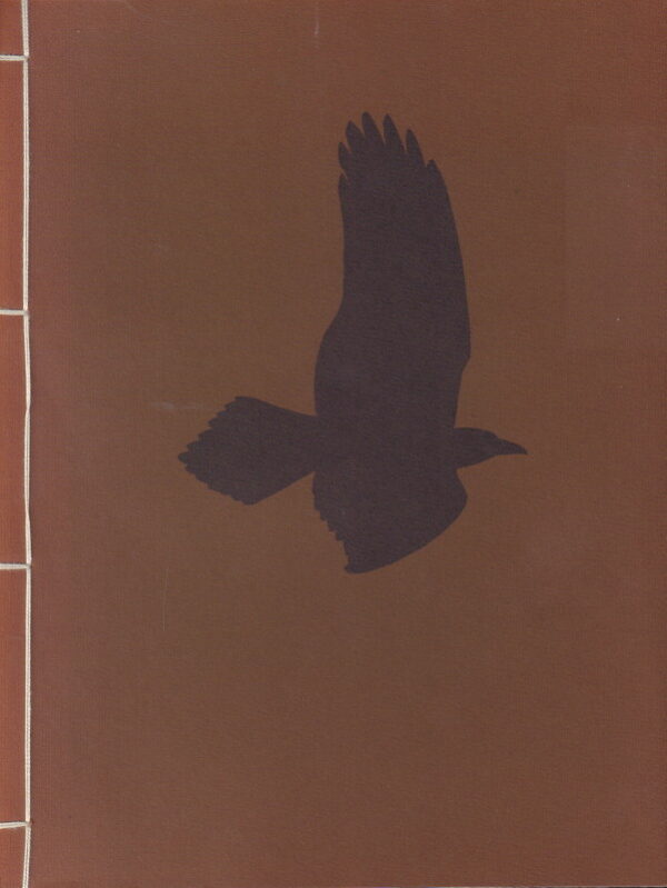 POE, Edgar Allen.  The Raven.
