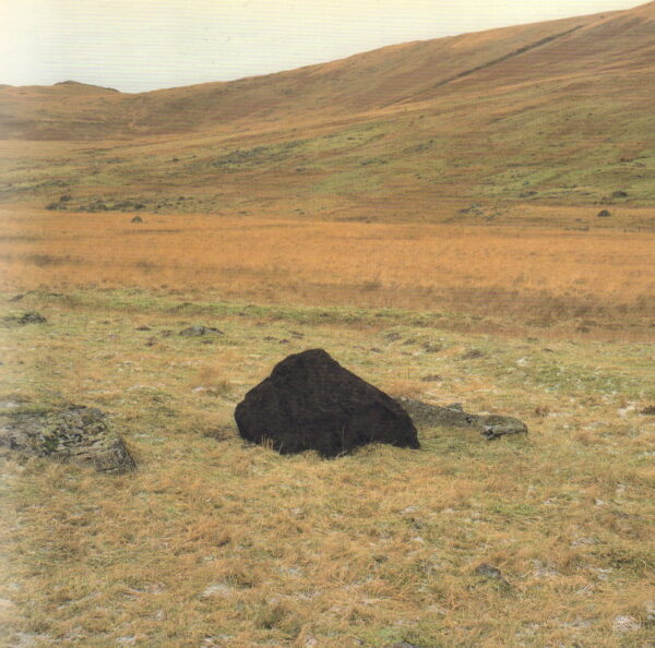 GOLDSWORTHY, Andy.  Black Stones Red Pools : Dumfriesshire Winter 1994-5 - Image 2