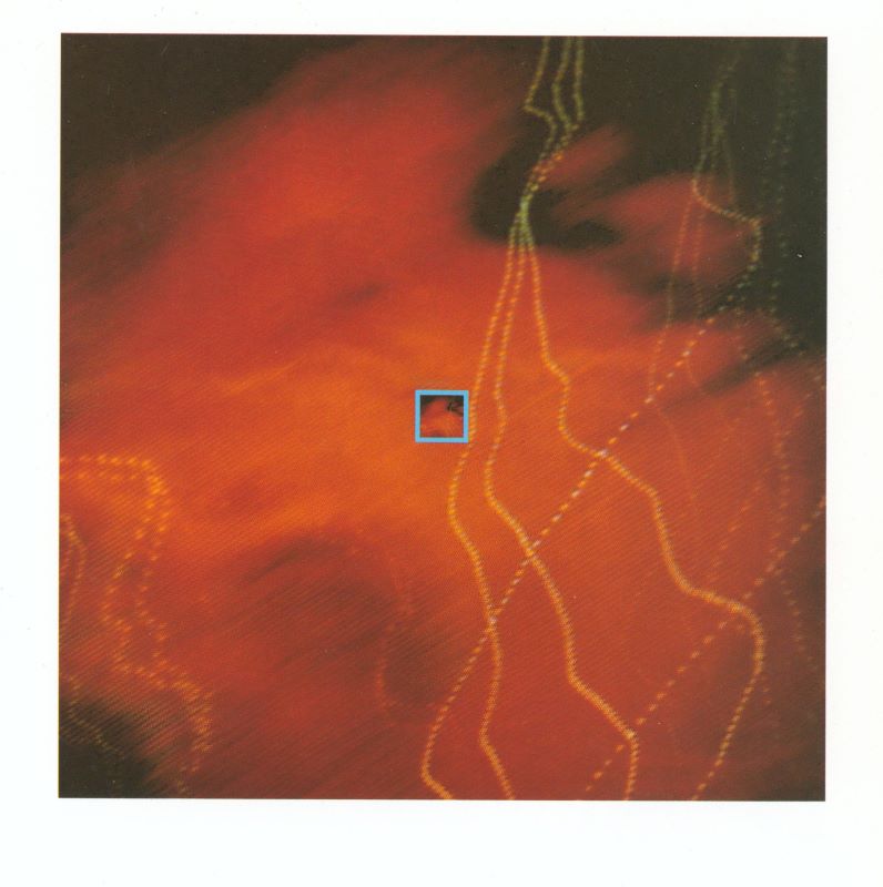 RHODES, Nick. Interference. - Image 5