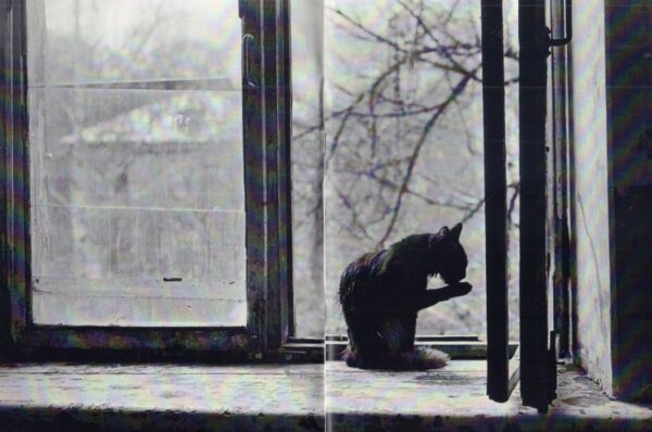 (SOLD): PETRACHKOV, Evgeniy.  Malinikha: Pride of the Neighbourhood. - Image 2