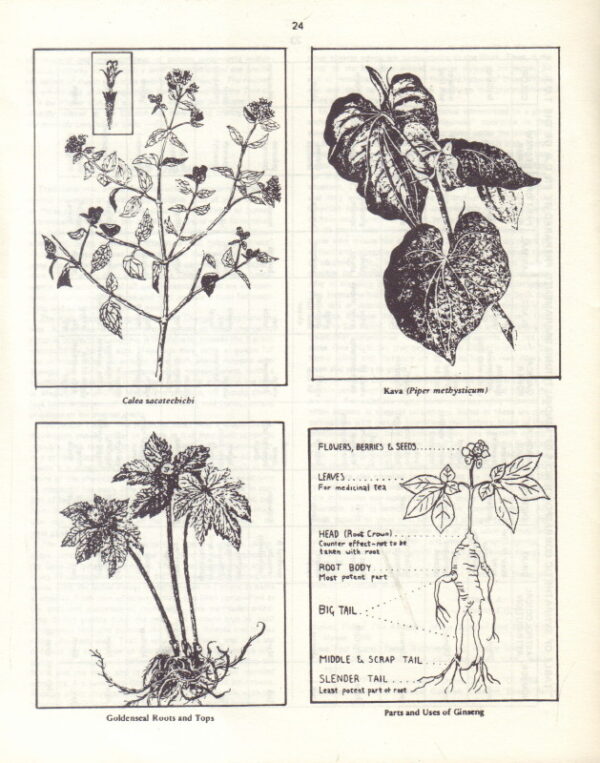 MANN, John. The First Book of Sacraments of the Church of the Tree of Life. - Image 2