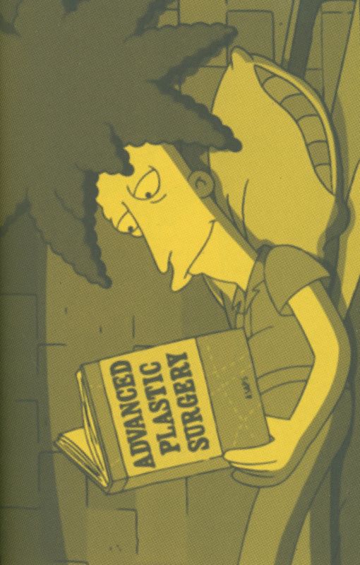 LeBRUN, Olivier. A Final Companion to the Books from The Simpsons. - Image 5