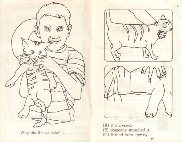 ARNOW, Eileen.  Death Made Simple: Activities for All Ages. - Image 2
