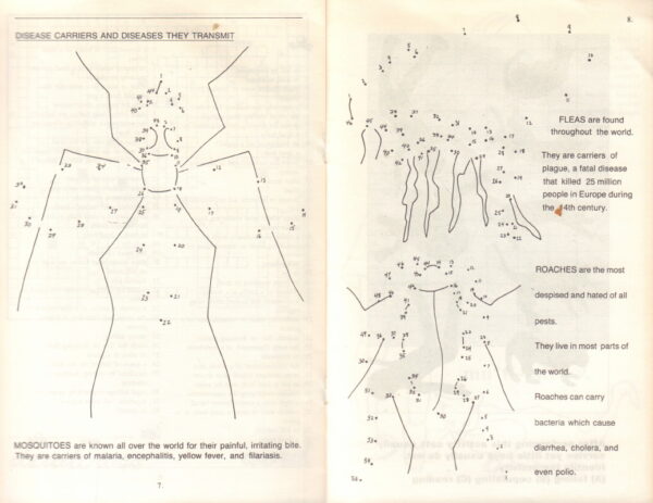 ARNOW, Eileen.  Death Made Simple: Activities for All Ages. - Image 3