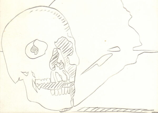 WARHOL, Andy.  Drawings: 50s - 80s.
