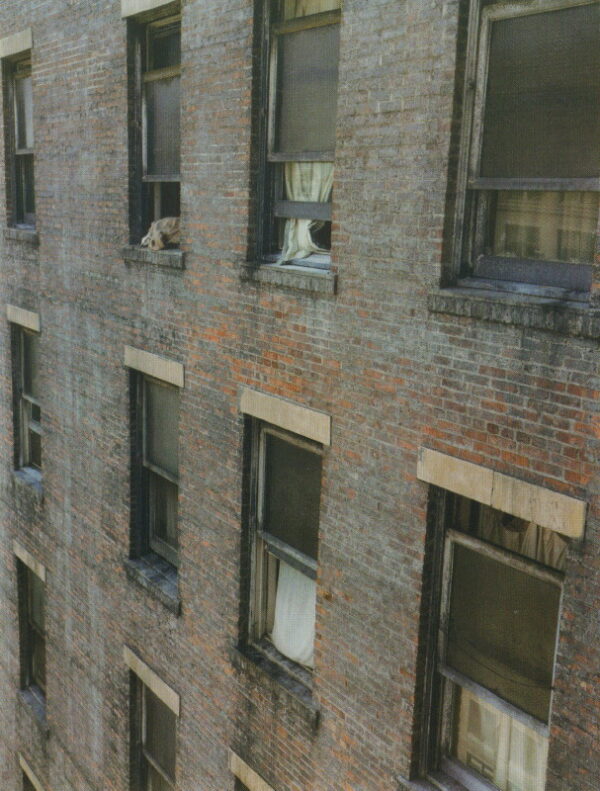 WENDERS, Wim and Donata.  The Heart is a Sleeping Beauty: The Million Dollar Hotel - A Film Book. - Image 2