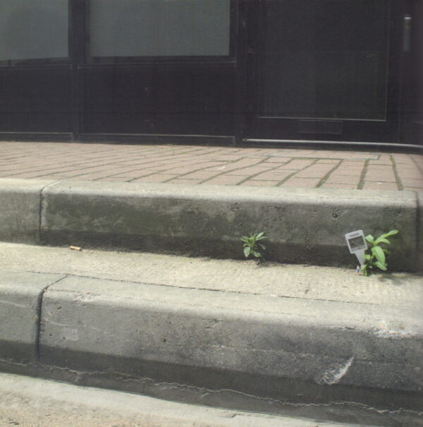 SLINKACHU.  Big Bad City. - Image 6