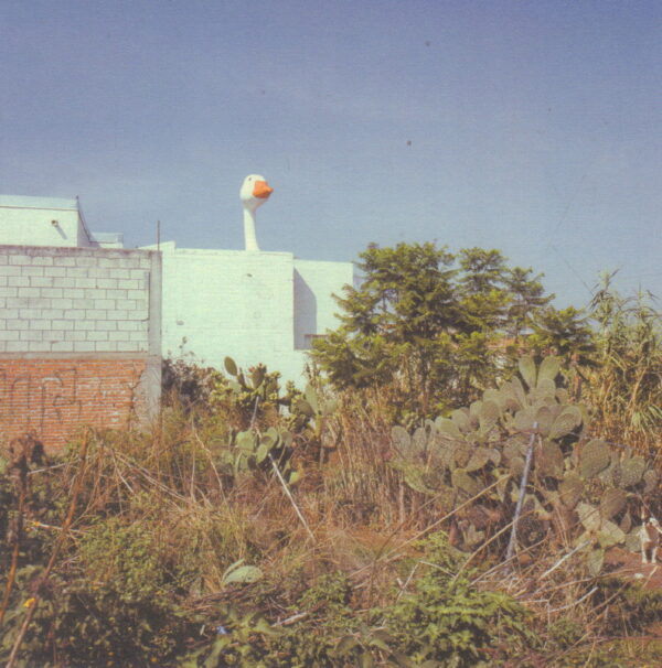 BO, Alessandro.  Smail. - Image 6