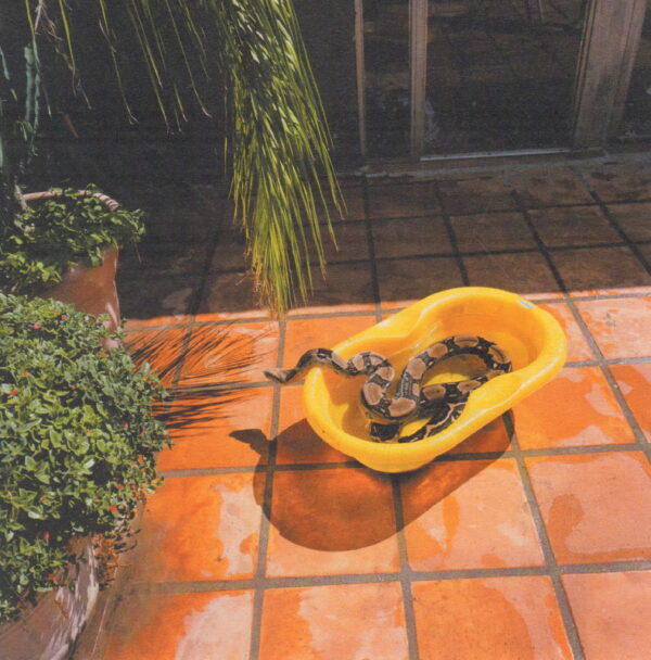 BO, Alessandro.  Smail. - Image 7