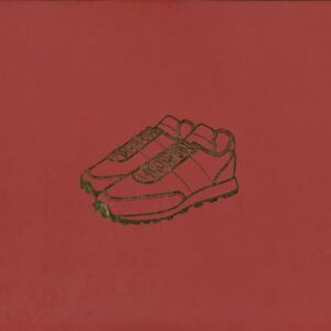 FARRELLY, Liz.  The Sneaker Book.