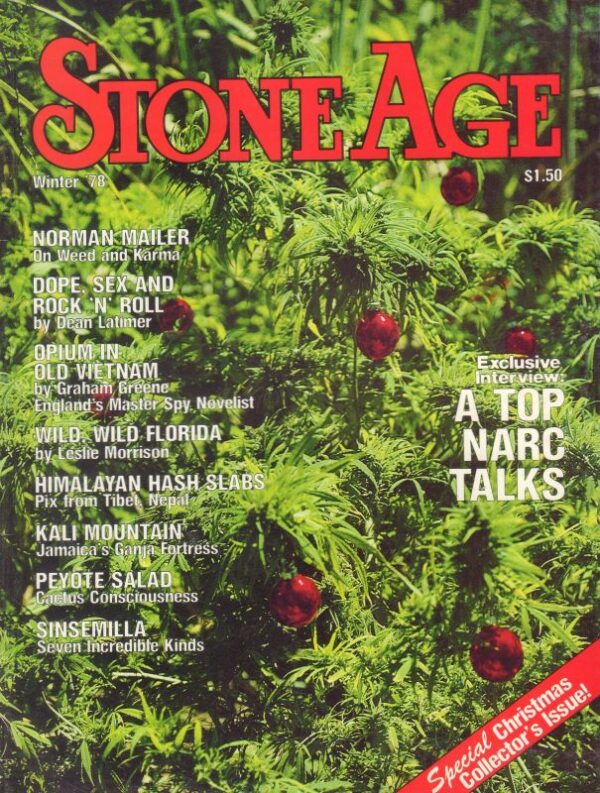 Allen J. SHEINMAN, Allen J. .  Stone Age.