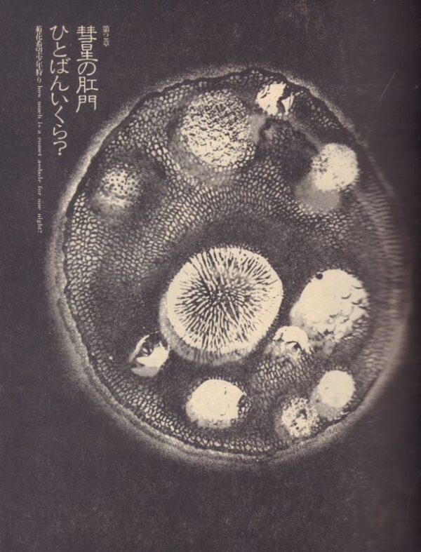 KUSAMA, Yayoi. Manhattan Suicide Addict. - Image 3