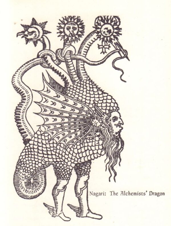 LEVINE, Stephen.  Synapse: Sutras, Myths and Visions of the Retinal Circus. - Image 2