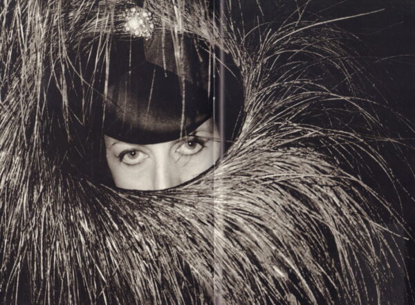 TESTINO, Mario.  Any Objections? - Image 2