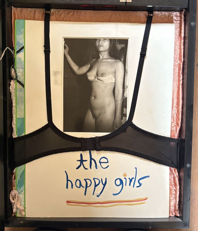 VOLLMANN, William T. The Happy Girls. - Image 2