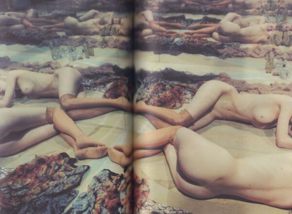ESCH, Gerdi. No. D Magazine featuring Olivier Theyskens. - Image 5