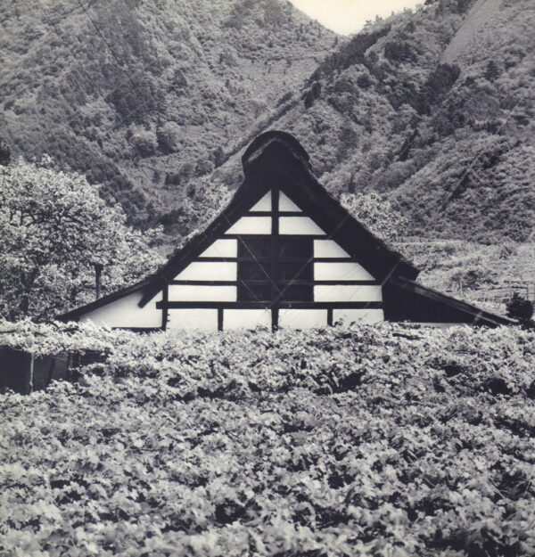 FUTAGAWA, Yukio.  Traditional Japanese Houses. - Image 2