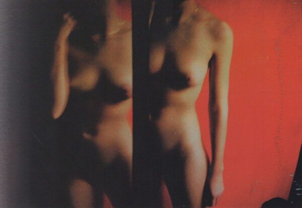 VORPSI, Ornela.  Nothing Obvious. - Image 2