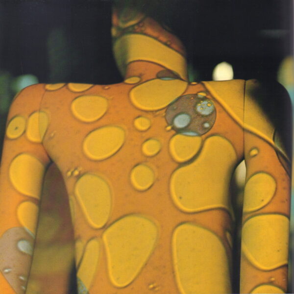 DIETHELM, Walter.  Visual Transformation. - Image 5