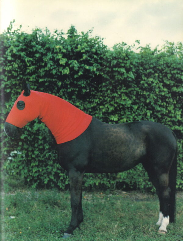 NICKERSON, Camilla and Neville WAKEFIELD. Fashion Photography of the Nineties. - Image 7