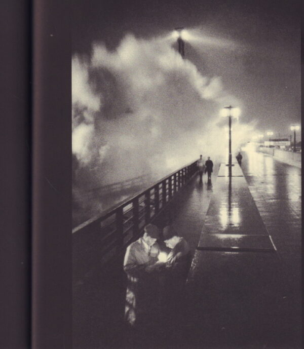YUKICHI, Watabe. A Criminal Investigation. - Image 7