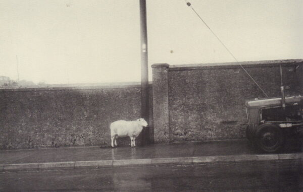 PARR, Martin.  Bad Weather. - Image 5