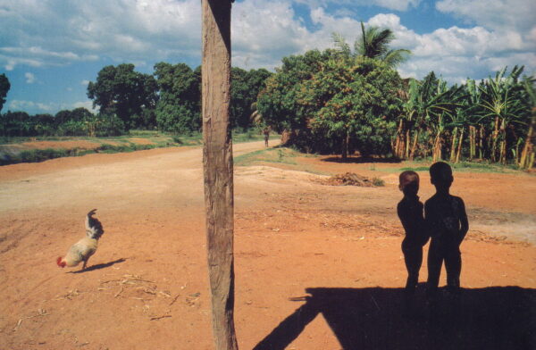 WEBB, Alex.  Under a Grudging Sun: Photographs from Haiti Libere 1986 - 1988. - Image 3