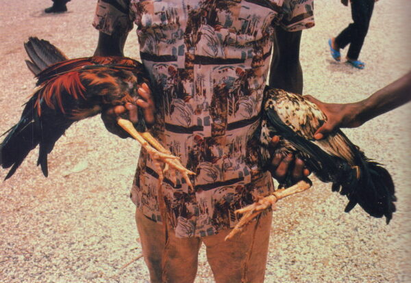 WEBB, Alex.  Under a Grudging Sun: Photographs from Haiti Libere 1986 - 1988. - Image 6